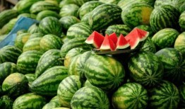 今日吃瓜每日大赛 今日吃瓜热门大瓜必看大瓜网红,热门大瓜、网红盘点，必看精彩瞬间