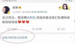 51今日吃瓜明星黑料,明星黑料揭秘，真相与谣言的较量